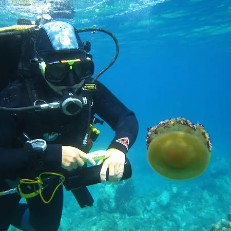 公寓式酒店 帕里斯卡帕克度假酒店