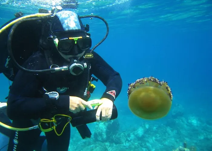 Aparthotel Priscapac &